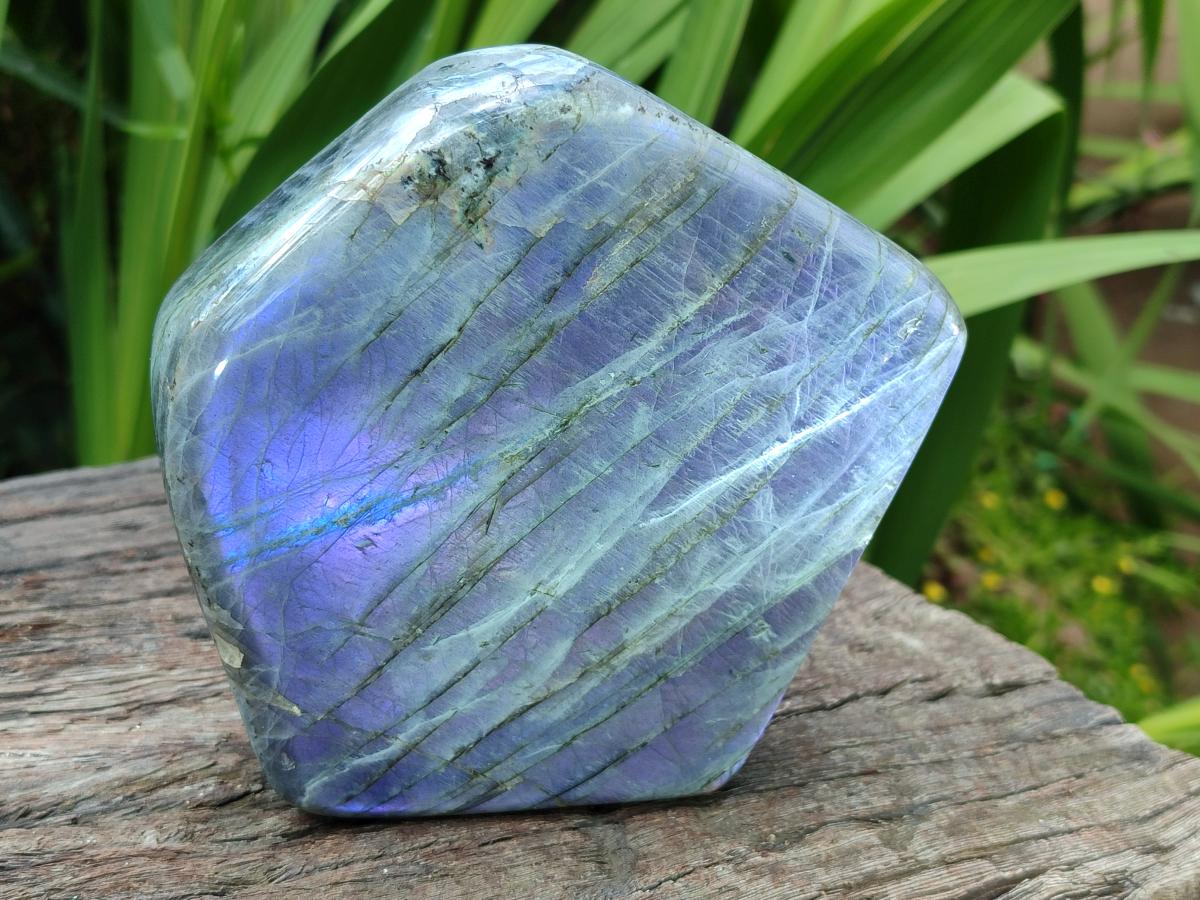 Polished Labradorite Standing Free Forms x 2 From Tulear, Madagascar