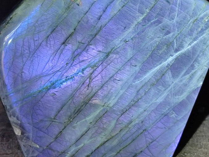 Polished Labradorite Standing Free Forms x 2 From Tulear, Madagascar