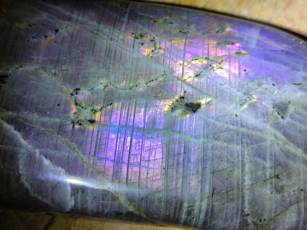 Polished Labradorite Standing Free Forms x 2 From Tulear, Madagascar