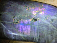 Polished Labradorite Standing Free Forms x 2 From Tulear, Madagascar