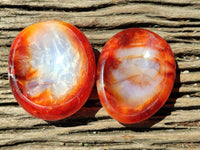 Polished Carnelian Agate Gemstone Bowls x 4 From Madagascar
