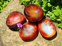 Polished Carnelian Agate Gemstone Bowls x 4 From Madagascar