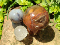 Polished Mixed Selected Multi Mineral Mushrooms x 6 From Madagascar