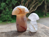 Polished Mixed Selected Multi Mineral Mushrooms x 6 From Madagascar