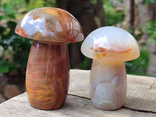 Polished Mixed Selected Multi Mineral Mushrooms x 6 From Madagascar