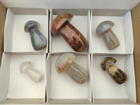 Polished Mixed Selected Multi Mineral Mushrooms x 6 From Madagascar