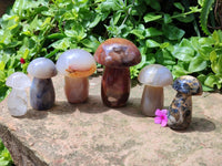 Polished Mixed Selected Multi Mineral Mushrooms x 6 From Madagascar