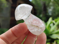 Polished Mixed Selected Multi Mineral Mushrooms x 6 From Madagascar