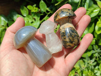 Polished Mixed Selected Multi Mineral Mushrooms x 6 From Madagascar