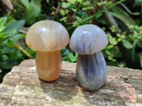 Polished Mixed Selected Multi Mineral Mushrooms x 6 From Madagascar