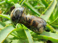 Polished Mixed Selected Multi Mineral Mushrooms x 6 From Madagascar