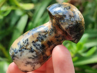 Polished Mixed Selected Multi Mineral Mushrooms x 6 From Madagascar