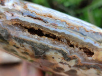 Polished Ocean Jasper Standing Free Forms x 2 From Northwest Coast, Madagascar