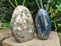 Polished Ocean Jasper Standing Free Forms x 2 From Northwest Coast, Madagascar