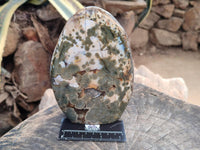 Polished Ocean Jasper Standing Free Forms x 2 From Northwest Coast, Madagascar
