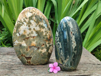 Polished Ocean Jasper Standing Free Forms x 2 From Northwest Coast, Madagascar