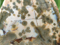 Polished Ocean Jasper Standing Free Forms x 2 From Northwest Coast, Madagascar