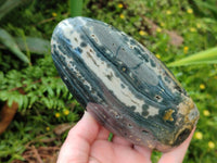 Polished Ocean Jasper Standing Free Forms x 2 From Northwest Coast, Madagascar