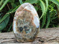 Polished Ocean Jasper Standing Free Forms x 2 From Northwest Coast, Madagascar