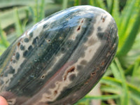 Polished Ocean Jasper Standing Free Forms x 2 From Northwest Coast, Madagascar