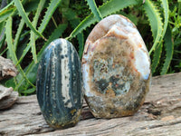 Polished Ocean Jasper Standing Free Forms x 2 From Northwest Coast, Madagascar