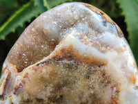 Polished Ocean Jasper Standing Free Forms x 2 From Northwest Coast, Madagascar