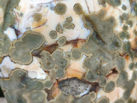 Polished Ocean Jasper Standing Free Forms x 2 From Northwest Coast, Madagascar