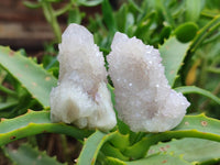 Natural Lilac Amethyst Spirit Quartz Crystals x 35 From Boekenhouthoek, South Africa