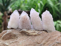 Natural Lilac Amethyst Spirit Quartz Crystals x 35 From Boekenhouthoek, South Africa