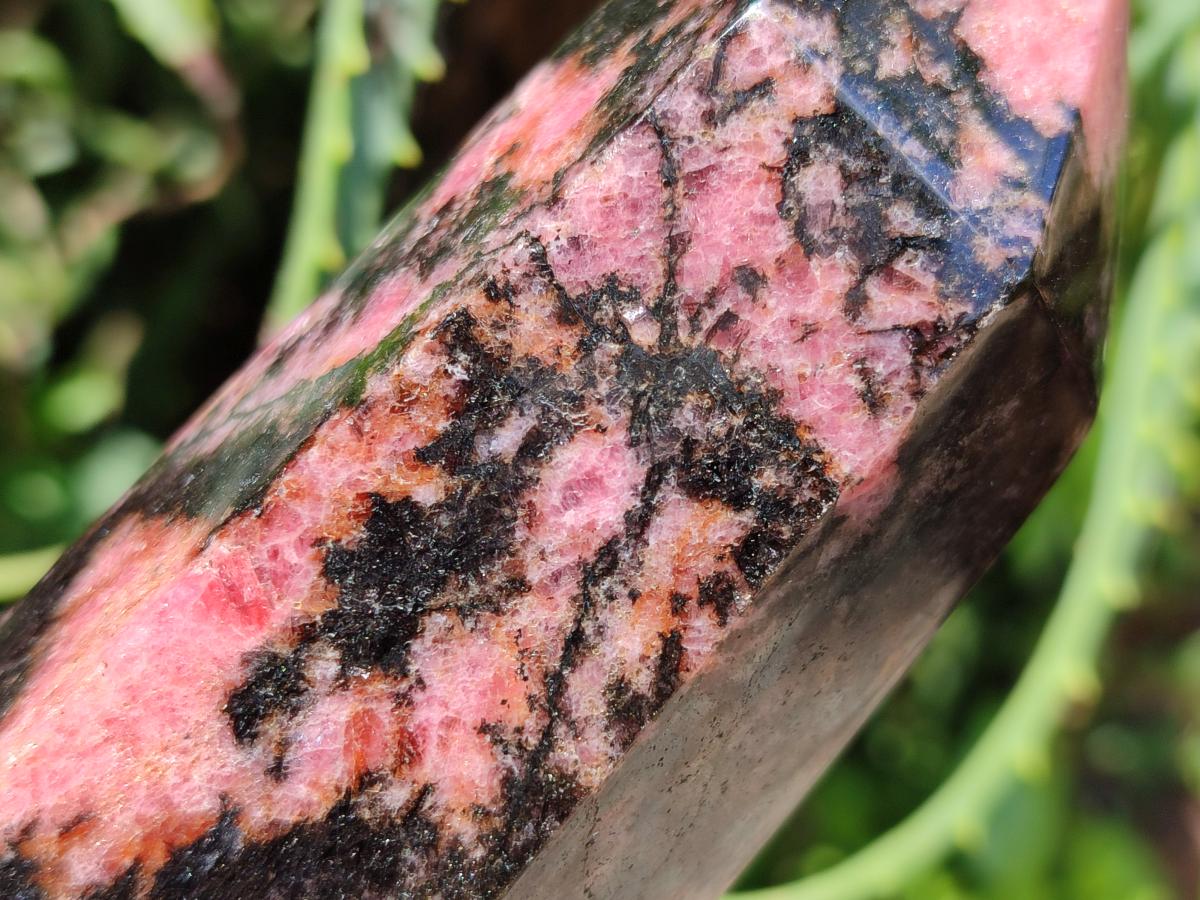 Polished Rhodonite Crystals x 2 From Ambindavato, Madagascar