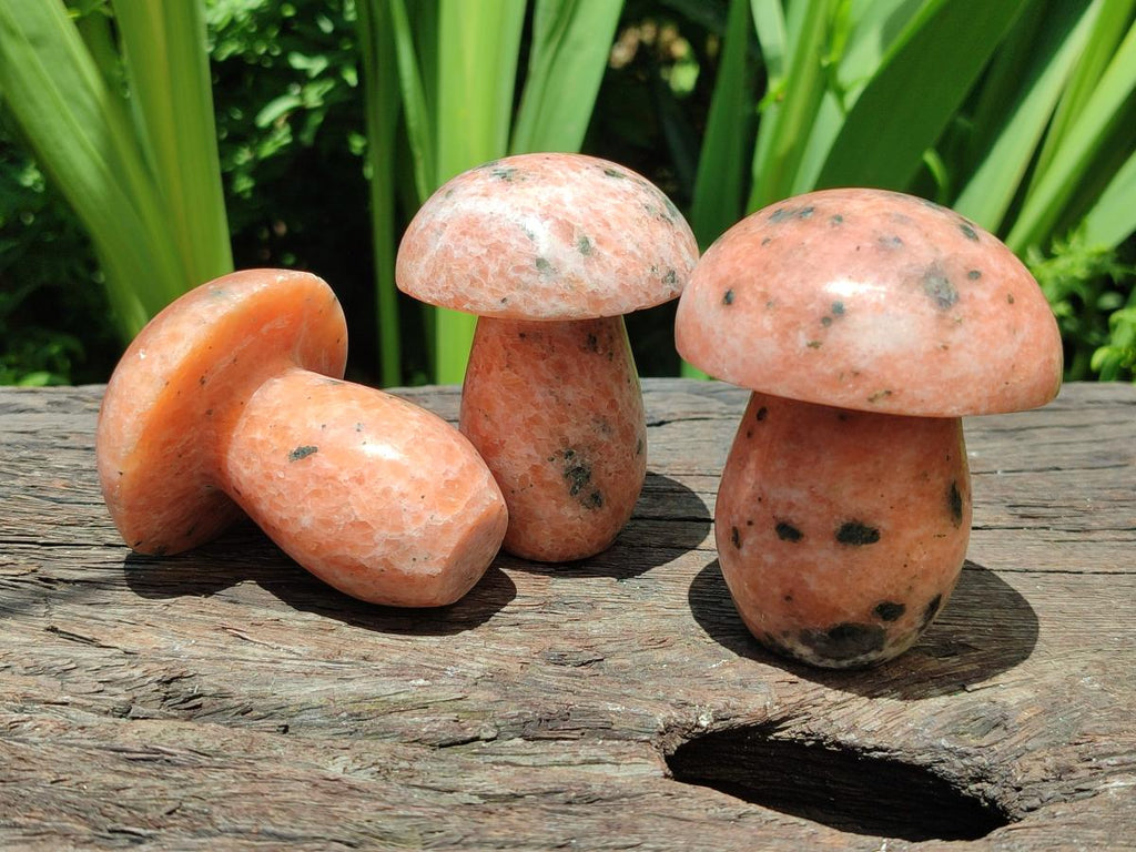 Polished Orange Calcite With Biotite Mushrooms x 6 From Madagascar - Toprock Gemstones and Minerals 