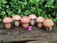 Polished Orange Calcite With Biotite Mushrooms x 6 From Madagascar