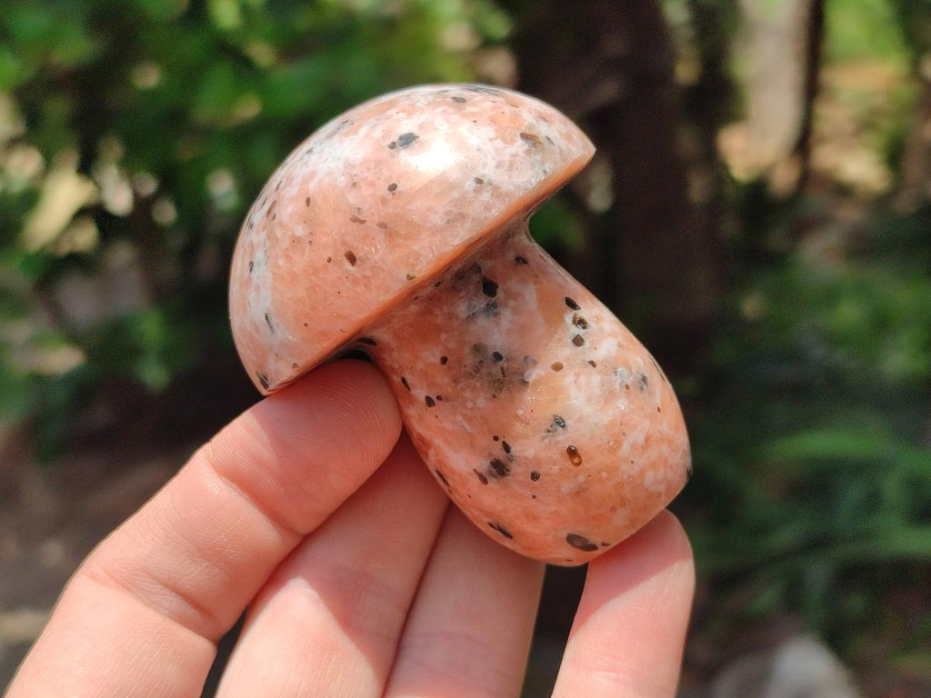 Polished Orange Calcite With Biotite Mushrooms x 6 From Madagascar - Toprock Gemstones and Minerals 
