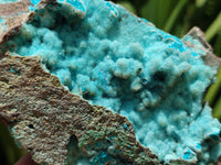 Natural Drusy Coated Chrysocolla Specimens x 2 From Lupoto Mine, Congo