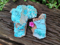 Natural Drusy Coated Chrysocolla Specimens x 2 From Lupoto Mine, Congo