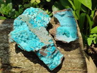 Natural Drusy Coated Chrysocolla Specimens x 2 From Lupoto Mine, Congo