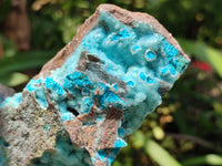 Natural Drusy Coated Chrysocolla Specimens x 2 From Lupoto Mine, Congo
