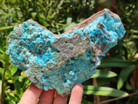 Natural Drusy Coated Chrysocolla Specimens x 2 From Lupoto Mine, Congo