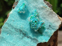 Natural Drusy Coated Chrysocolla Specimens x 2 From Lupoto Mine, Congo