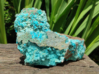 Natural Drusy Coated Chrysocolla Specimens x 2 From Lupoto Mine, Congo