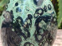 Polished Stromatolite Standing Free Forms x 2 From Katsepy, Madagascar