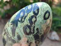 Polished Stromatolite Standing Free Forms x 2 From Katsepy, Madagascar