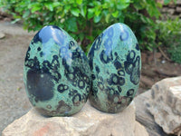 Polished Stromatolite Standing Free Forms x 2 From Katsepy, Madagascar