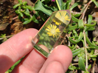 Polished Optic Smokey Citrine Window Quartz Crystals x 37 From Madagascar