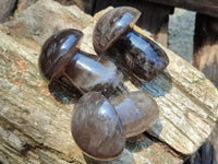 Polished Smokey Quartz Mushrooms x 6  From Madagascar
