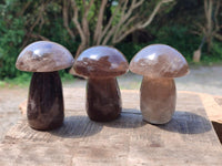 Polished Smokey Quartz Mushrooms x 6  From Madagascar