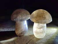 Polished Smokey Quartz Mushrooms x 6  From Madagascar