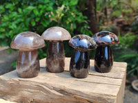 Polished Smokey Quartz Mushrooms x 6  From Madagascar