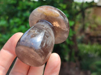 Polished Smokey Quartz Mushrooms x 6  From Madagascar