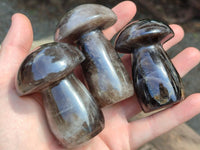 Polished Smokey Quartz Mushrooms x 6  From Madagascar